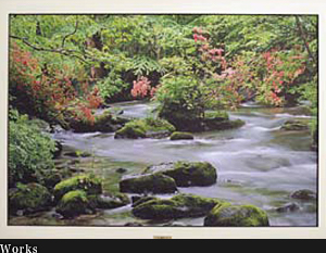 Picture quality by Fresco Giclee